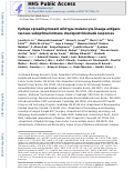 Cover page: Epitope spreading toward wild-type melanocyte-lineage antigens rescues suboptimal immune checkpoint blockade responses