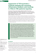 Cover page: Suppression of TCF4 promotes a ZC3H12A-mediated self-sustaining inflammatory feedback cycle involving IL-17RA/IL-17RE epidermal signaling.