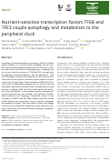 Cover page: Nutrient‐sensitive transcription factors TFEB and TFE3 couple autophagy and metabolism to the peripheral clock