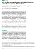 Cover page: Role of Rho-Associated Kinase in the Pathophysiology of Cerebral Cavernous Malformations.