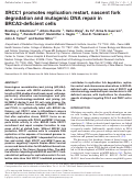 Cover page: XRCC1 promotes replication restart, nascent fork degradation and mutagenic DNA repair in BRCA2-deficient cells.