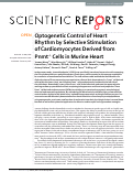 Cover page: Optogenetic Control of Heart Rhythm by Selective Stimulation of Cardiomyocytes Derived from Pnmt+ Cells in Murine Heart.