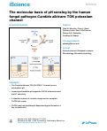 Cover page of The molecular basis of pH sensing by the human fungal pathogen <i>Candida albicans</i> TOK potassium channel.