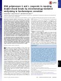 Cover page: DNA polymerases δ and λ cooperate in repairing double-strand breaks by microhomology-mediated end-joining in Saccharomyces cerevisiae