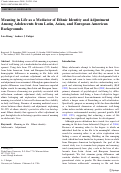 Cover page: Meaning in Life as a Mediator of Ethnic Identity and Adjustment Among Adolescents from Latin, Asian, and European American Backgrounds