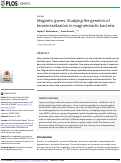 Cover page: Magnetic genes: Studying the genetics of biomineralization in magnetotactic bacteria