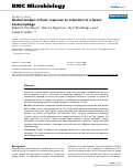 Cover page: Global analysis of host response to induction of a latent bacteriophage