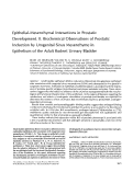 Cover page: Epithelial-mesenchymal interactions in prostatic development. II. Biochemical observations of prostatic induction by urogenital sinus mesenchyme in epithelium of the adult rodent urinary bladder.