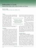 Cover page: Radiocarbon in Corals: Records of the Carbon Cycle, Surface Circulation and Climate