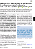 Cover page: Pathogenic TNF-α drives peripheral nerve inflammation in an Aire-deficient model of autoimmunity