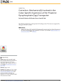 Cover page: Correction: Mechanism(S) Involved in the Colon-Specific Expression of the Thiamine Pyrophosphate (Tpp) Transporter