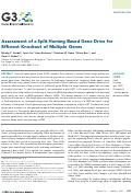 Cover page: Assessment of a Split Homing Based Gene Drive for Efficient Knockout of Multiple Genes