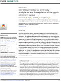 Cover page: Dnmt1a is essential for gene body methylation and the regulation of the zygotic genome in a wasp.