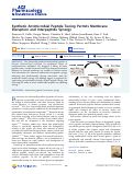 Cover page: Synthetic Antimicrobial Peptide Tuning Permits Membrane Disruption and Interpeptide Synergy