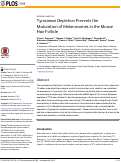 Cover page: Tyrosinase Depletion Prevents the Maturation of Melanosomes in the Mouse Hair Follicle