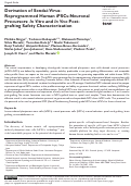 Cover page: Derivation of Sendai-Virus-Reprogrammed Human iPSCs-Neuronal Precursors: <i>In Vitro</i> and <i>In Vivo</i> Post-grafting Safety Characterization.