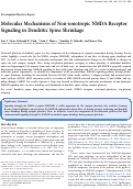 Cover page: Molecular Mechanisms of Non-ionotropic NMDA Receptor Signaling in Dendritic Spine Shrinkage