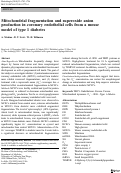 Cover page: Mitochondrial fragmentation and superoxide anion production in coronary endothelial cells from a mouse model of type 1 diabetes