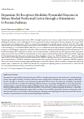 Cover page: Dopamine D2 Receptors Modulate Pyramidal Neurons in Mouse Medial Prefrontal Cortex through a Stimulatory G-Protein Pathway