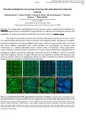 Cover page: Intravital multiphoton microscopy of human skin with label-free molecular contrast