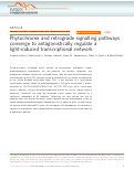 Cover page: Phytochrome and retrograde signalling pathways converge to antagonistically regulate a light-induced transcriptional network