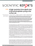 Cover page: A high-resolution time-depth view of dimethylsulphide cycling in the surface sea