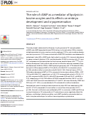 Cover page: The role of cGMP as a mediator of lipolysis in bovine oocytes and its effects on embryo development and cryopreservation.