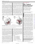 Cover page: The “cancer immunogram”