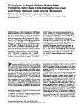 Cover page: Cerebroglycan: an integral membrane heparan sulfate proteoglycan that is unique to the developing nervous system and expressed specifically during neuronal differentiation