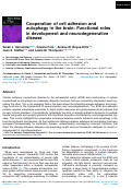 Cover page: Cooperation of cell adhesion and autophagy in the brain: Functional roles in development and neurodegenerative disease