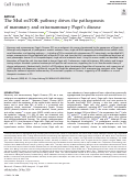 Cover page: The Msi1-mTOR pathway drives the pathogenesis of mammary and extramammary Paget’s disease