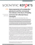 Cover page: Gene expression of Lactobacillus plantarum and the commensal microbiota in the ileum of healthy and early SIV-infected rhesus macaques