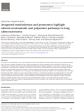 Cover page: Integrated metabolomics and proteomics highlight altered nicotinamide and polyamine pathways in lung adenocarcinoma