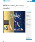 Cover page: Reanalysis of primate brain circadian transcriptomics reveals connectivity-related oscillations