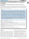 Cover page: Identification of Cell-Binding Adhesins of Leptospira interrogans