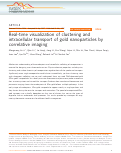 Cover page: Real-time visualization of clustering and intracellular transport of gold nanoparticles by correlative imaging