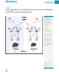 Cover page: D2R signaling in striatal spiny neurons modulates L-DOPA induced dyskinesia