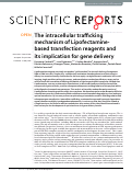 Cover page: The intracellular trafficking mechanism of Lipofectamine-based transfection reagents and its implication for gene delivery