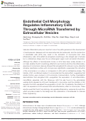 Cover page: Endothelial Cell Morphology Regulates Inflammatory Cells Through MicroRNA Transferred by Extracellular Vesicles