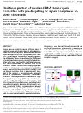 Cover page: Heritable pattern of oxidized DNA base repair coincides with pre-targeting of repair complexes to open chromatin.