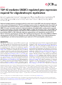 Cover page: TDP-43 mediates SREBF2-regulated gene expression required for oligodendrocyte myelination.