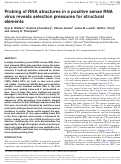 Cover page: Probing of RNA structures in a positive sense RNA virus reveals selection pressures for structural elements