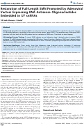 Cover page: Restoration of Full-Length SMN Promoted by Adenoviral Vectors Expressing RNA Antisense Oligonucleotides Embedded in U7 snRNAs