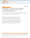 Cover page: Inflammation mobilizes copper metabolism to promote colon tumorigenesis via an IL-17-STEAP4-XIAP axis