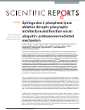 Cover page: Sphingosine 1-phosphate lyase ablation disrupts presynaptic architecture and function via an ubiquitin- proteasome mediated mechanism.