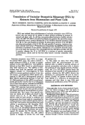 Cover page: Translation of vesicular stomatitis messenger RNA by extracts from mammalian and plant cells