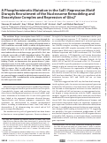 Cover page: A Phosphomimetic Mutation in the Sall1 Repression Motif Disrupts Recruitment of the Nucleosome Remodeling and Deacetylase Complex and Repression of Gbx2