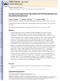 Cover page: An Improved Single-Chain Fab Platform for Efficient Display and Recombinant Expression