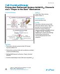 Cover page: Polynuclear Ruthenium Amines Inhibit K2P Channels via a “Finger in the Dam” Mechanism