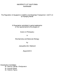 Cover page: The Regulation of Aquaporin-4 (AQP4) and Glutamate Transporter-1 (GLT1) in an Epilepsy Model